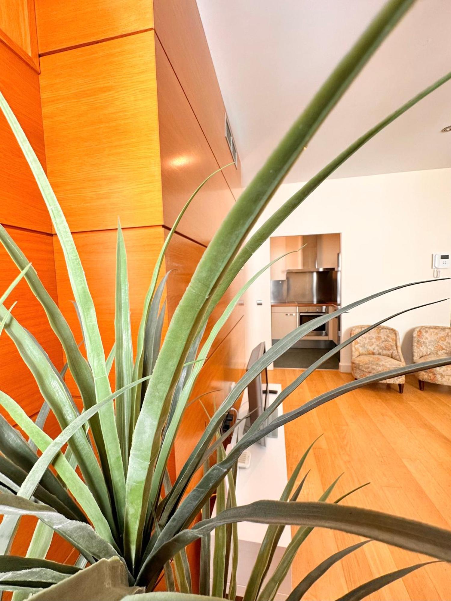 Penthouse Near Cathedral Private Rooftop Private Parking Σεβίλλη Εξωτερικό φωτογραφία